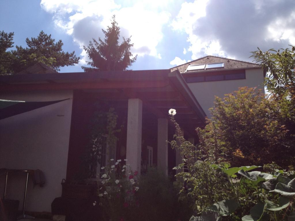 Box58 Eisenstadt Exterior foto